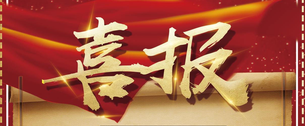 d58站群程序好用吗